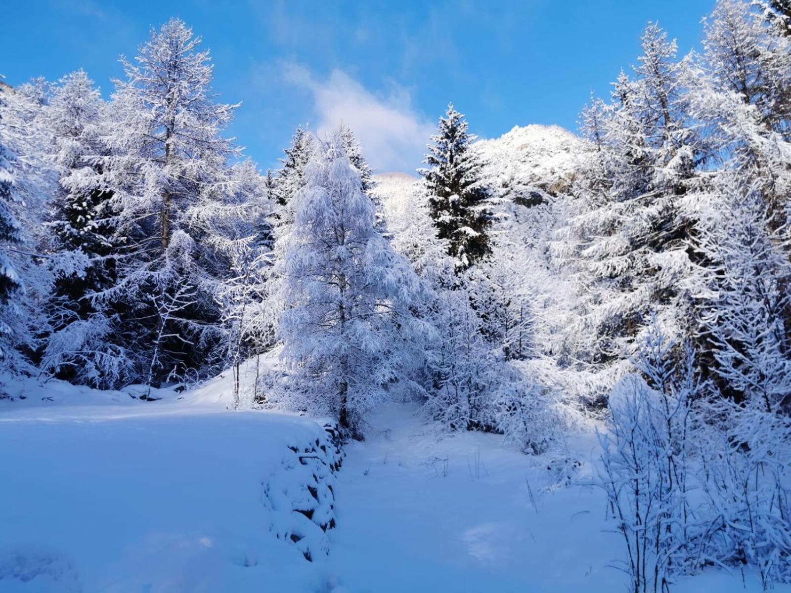 Les Du Domaine De L Esperluette Chalé Le Lauzet-Ubaye