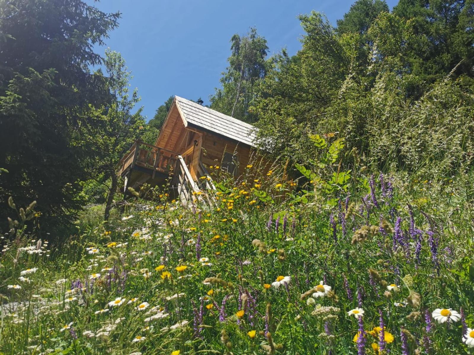 Les Du Domaine De L Esperluette Chalet Le Lauzet-Ubaye